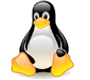 Linux-Based shared web hosting